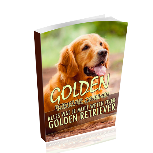 zelfvertrouwen krijgen