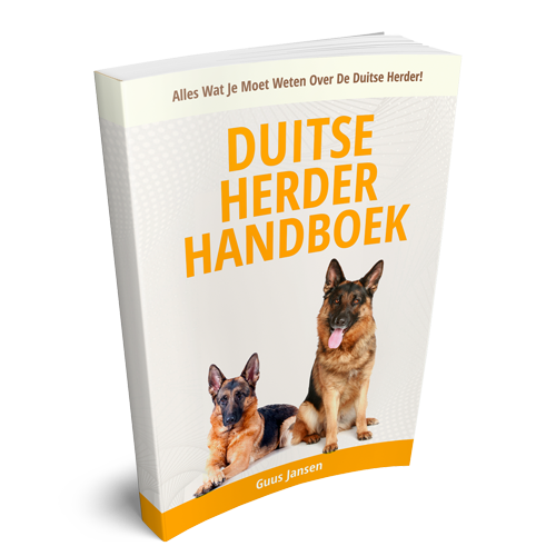 winstgevende aandelen